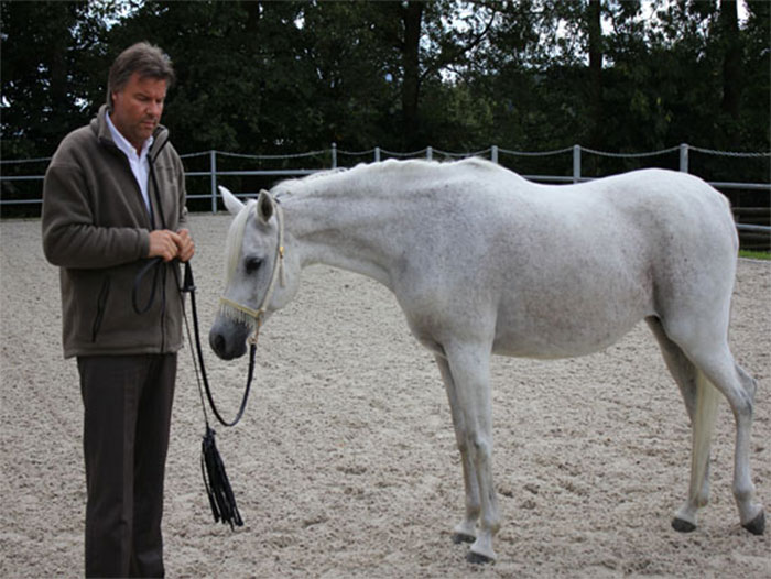 Aachem Show 2010