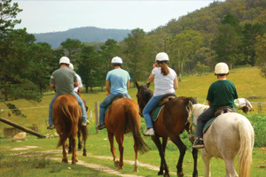 Horse Riding
